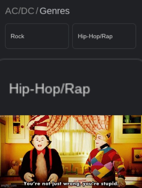 How is AC/DC classified as hiphop/rap? | image tagged in you're not just wrong you're stupid | made w/ Imgflip meme maker