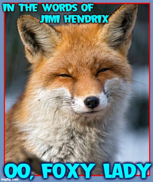 When a girl's so foxy you gotta squint cuz it's more than U can take |  IN THE WORDS OF              
JIMI HENDRIX; OO, FOXY LADY | image tagged in vince vance,foxes,foxy lady,jimi hendrix,memes | made w/ Imgflip meme maker
