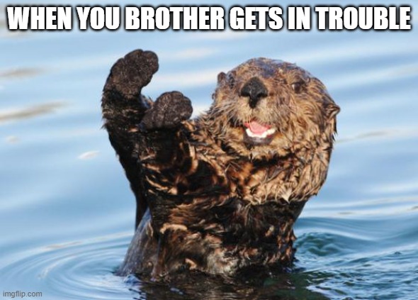 otter celebration | WHEN YOU BROTHER GETS IN TROUBLE | image tagged in otter celebration | made w/ Imgflip meme maker