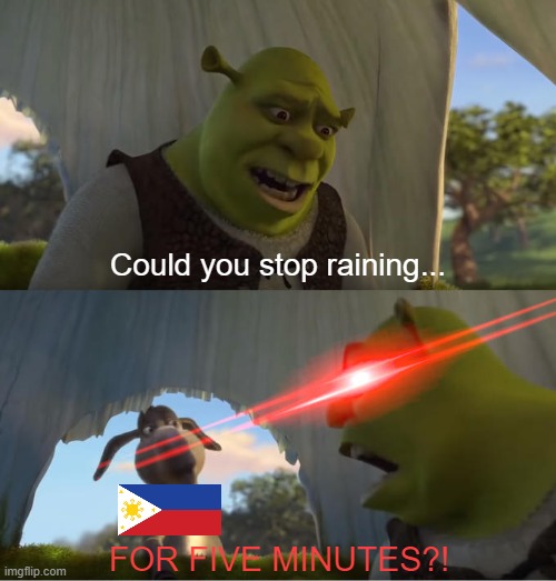 Me in the philippines | Could you stop raining... FOR FIVE MINUTES?! | image tagged in shrek for five minutes | made w/ Imgflip meme maker