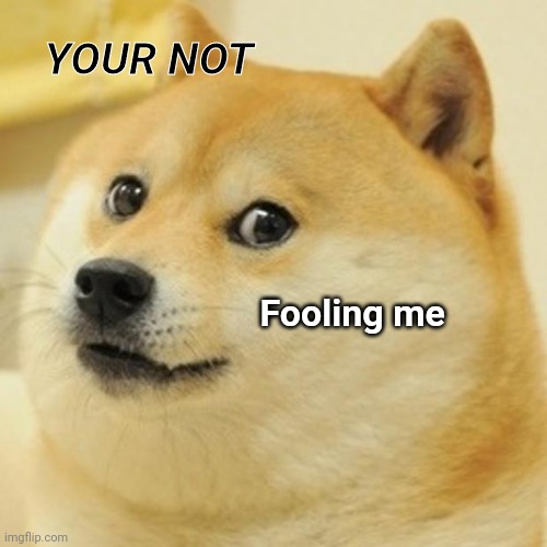 Fool | YOUR NOT; Fooling me | image tagged in memes,doge | made w/ Imgflip meme maker