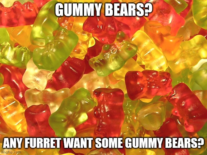 Fruit flavored, even | GUMMY BEARS? ANY FURRET WANT SOME GUMMY BEARS? | image tagged in gummy bears | made w/ Imgflip meme maker