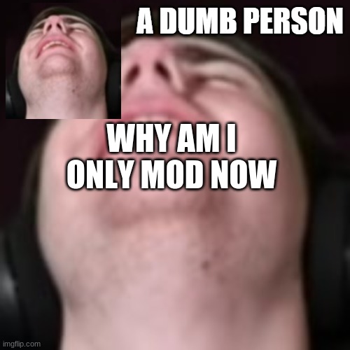 E | WHY AM I ONLY MOD NOW | image tagged in e | made w/ Imgflip meme maker