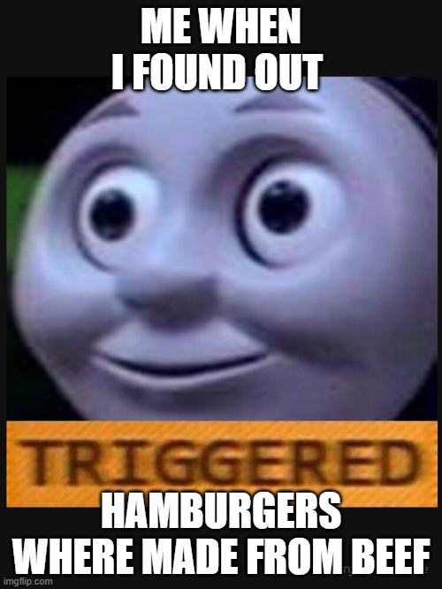 hamburger scam |  ME WHEN I FOUND OUT; HAMBURGERS WHERE MADE FROM BEEF | image tagged in hamburgers | made w/ Imgflip meme maker