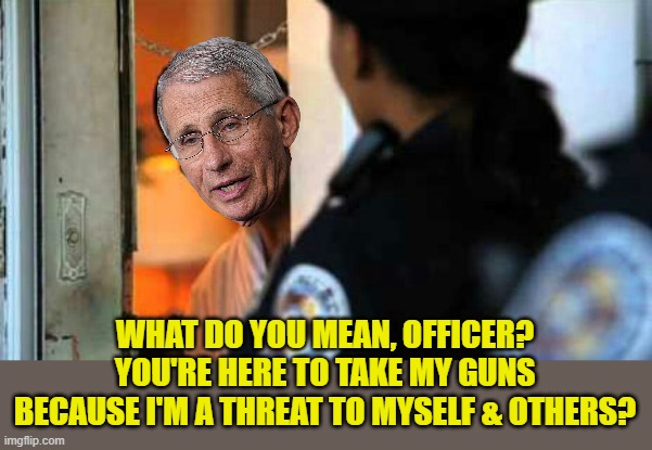 Police officer at door | WHAT DO YOU MEAN, OFFICER? YOU'RE HERE TO TAKE MY GUNS BECAUSE I'M A THREAT TO MYSELF & OTHERS? | image tagged in police officer at door | made w/ Imgflip meme maker