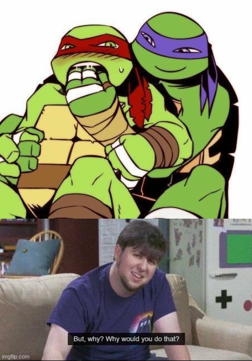 image tagged in but why why would you do that | made w/ Imgflip meme maker