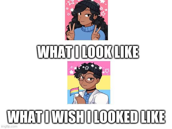 Im a trans poly pan man :D | WHAT I LOOK LIKE; WHAT I WISH I LOOKED LIKE | image tagged in blank white template,the gay | made w/ Imgflip meme maker