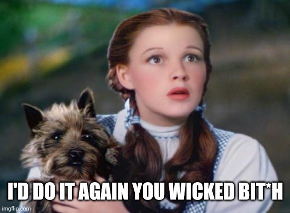 Toto Wizard of Oz | I'D DO IT AGAIN YOU WICKED BIT*H | image tagged in toto wizard of oz | made w/ Imgflip meme maker