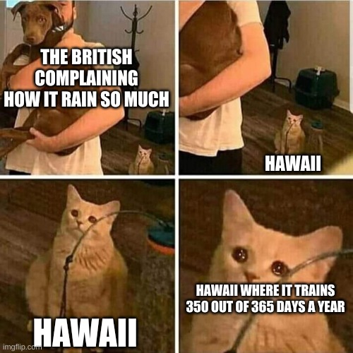 Sad Cat Holding Dog | THE BRITISH COMPLAINING HOW IT RAIN SO MUCH; HAWAII; HAWAII WHERE IT TRAINS 350 OUT OF 365 DAYS A YEAR; HAWAII | image tagged in sad cat holding dog | made w/ Imgflip meme maker