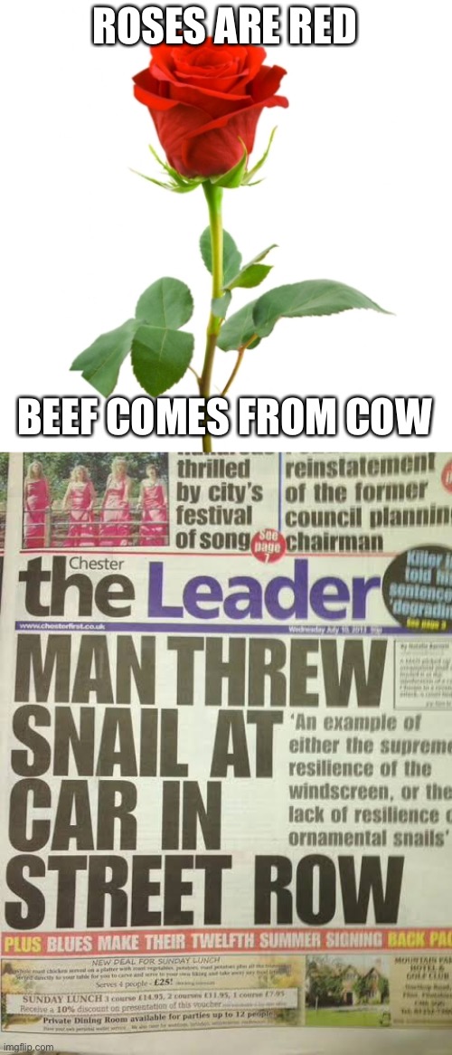 Road rage to the max | ROSES ARE RED; BEEF COMES FROM COW | image tagged in beef,cow,roses are red,throw,road rage | made w/ Imgflip meme maker