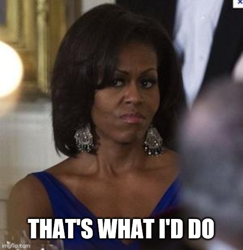 Michelle Obama side eye | THAT'S WHAT I'D DO | image tagged in michelle obama side eye | made w/ Imgflip meme maker