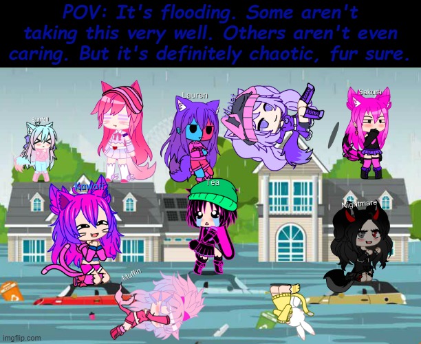 ignore that random gray line in between Sakura and Violet, it's Violet's shadow but idk how to remove shadows :P | POV: It's flooding. Some aren't taking this very well. Others aren't even caring. But it's definitely chaotic, fur sure. | made w/ Imgflip meme maker