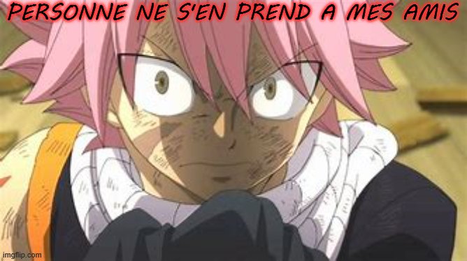 Angry Natsu | PERSONNE NE S'EN PREND A MES AMIS | image tagged in angry natsu | made w/ Imgflip meme maker
