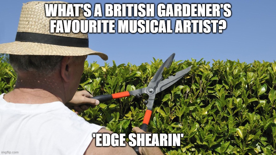 Ed Sheeran British Gardener | WHAT'S A BRITISH GARDENER'S FAVOURITE MUSICAL ARTIST? 'EDGE SHEARIN' | image tagged in ed sheeran,british,gardening | made w/ Imgflip meme maker