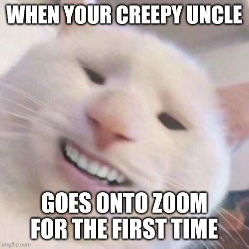 Uh oh | WHEN YOUR CREEPY UNCLE; GOES ONTO ZOOM FOR THE FIRST TIME | image tagged in uncle | made w/ Imgflip meme maker