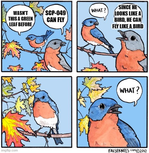 What bird | WASN'T THIS A GREEN LEAF BEFORE SCP-049 CAN FLY SINCE HE LOOKS LIKE A BIRD, HE CAN FLY LIKE A BIRD | image tagged in what bird | made w/ Imgflip meme maker