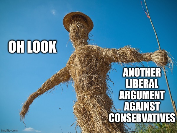 Strawman | OH LOOK ANOTHER LIBERAL ARGUMENT AGAINST CONSERVATIVES | image tagged in strawman | made w/ Imgflip meme maker