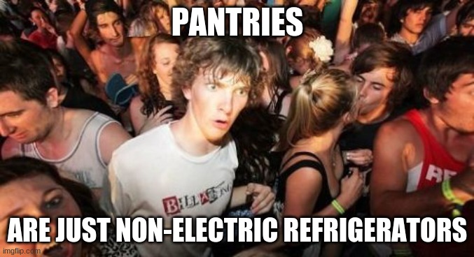 Would the caption have worked better in a 10 Guy meme? | PANTRIES; ARE JUST NON-ELECTRIC REFRIGERATORS | image tagged in memes,sudden clarity clarence,pantry,food,kitchen,refrigerator | made w/ Imgflip meme maker