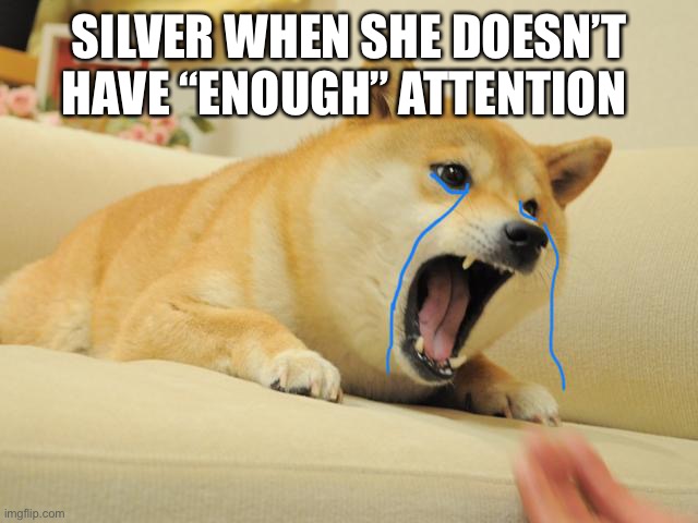 Silver :^ | SILVER WHEN SHE DOESN’T HAVE “ENOUGH” ATTENTION | image tagged in crying doge | made w/ Imgflip meme maker