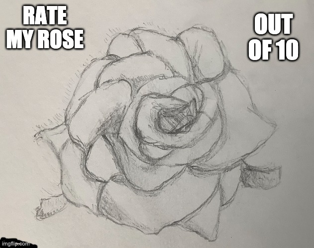 Please | OUT OF 10; RATE MY ROSE | image tagged in unfunny | made w/ Imgflip meme maker