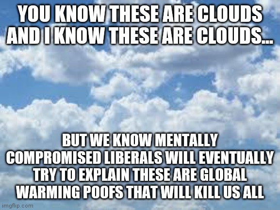 So....is there any single type of weather that is not global warming Democrats? You know you've badly overplayed your hand? | YOU KNOW THESE ARE CLOUDS AND I KNOW THESE ARE CLOUDS... BUT WE KNOW MENTALLY COMPROMISED LIBERALS WILL EVENTUALLY TRY TO EXPLAIN THESE ARE GLOBAL WARMING POOFS THAT WILL KILL US ALL | image tagged in clouds,global warming,democrat party,out of ideas,blame | made w/ Imgflip meme maker