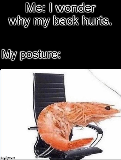 we all relate to this | Me: I wonder why my back hurts. My posture: | image tagged in blank white template,memes,relatable,relatable memes | made w/ Imgflip meme maker