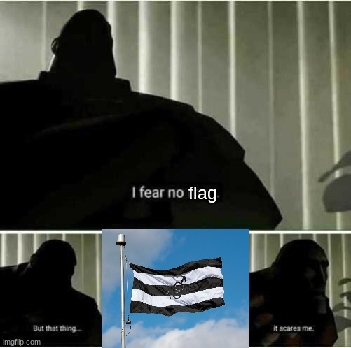 Watch the chess boards get mad. | flag | image tagged in i fear no man,straight,hetero | made w/ Imgflip meme maker