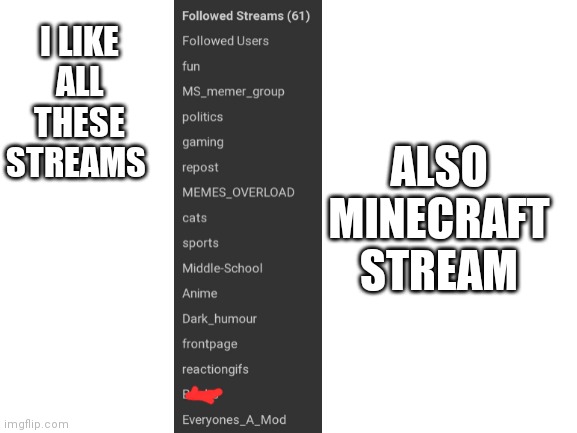 Blank White Template | I LIKE ALL THESE STREAMS; ALSO MINECRAFT STREAM | image tagged in blank white template | made w/ Imgflip meme maker