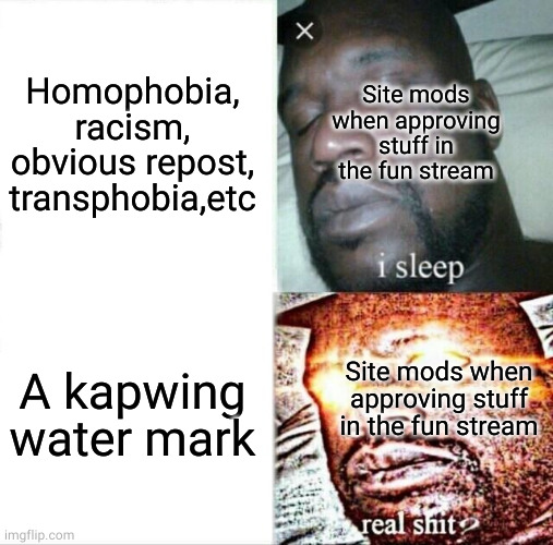 why mods why | Homophobia, racism, obvious repost, transphobia,etc; Site mods when approving stuff in the fun stream; A kapwing water mark; Site mods when approving stuff in the fun stream | image tagged in memes,sleeping shaq | made w/ Imgflip meme maker