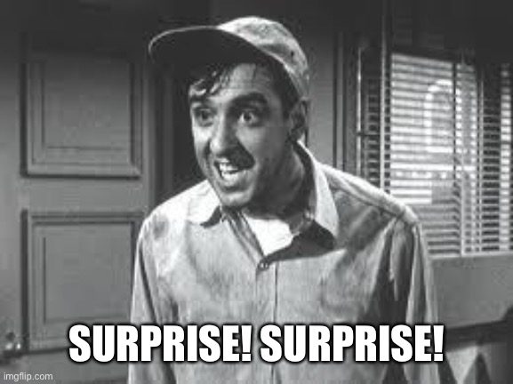 Gomer Pyle | SURPRISE! SURPRISE! | image tagged in gomer pyle | made w/ Imgflip meme maker