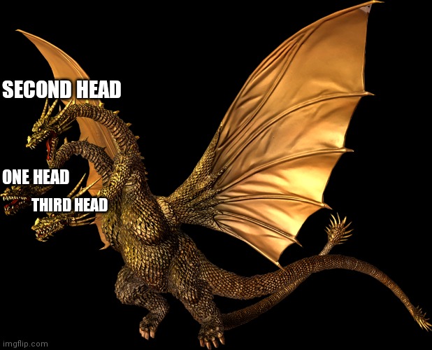 Transparent Hesiei Ghidorah | ONE HEAD SECOND HEAD THIRD HEAD | image tagged in transparent hesiei ghidorah | made w/ Imgflip meme maker