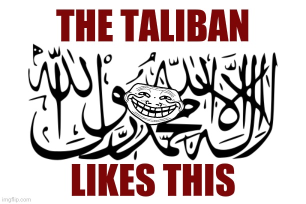 Taliban flag | THE TALIBAN LIKES THIS | image tagged in taliban flag | made w/ Imgflip meme maker