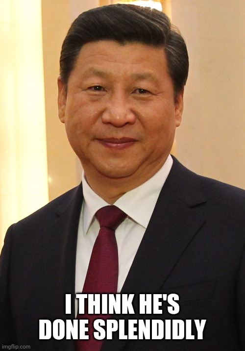 Xi Jinping | I THINK HE'S DONE SPLENDIDLY | image tagged in xi jinping | made w/ Imgflip meme maker