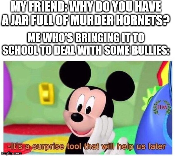 Dark enough or no? | MY FRIEND: WHY DO YOU HAVE A JAR FULL OF MURDER HORNETS? ME WHO'S BRINGING IT TO SCHOOL TO DEAL WITH SOME BULLIES: | image tagged in it's a surprise tool that will help us later,dark humor,murder hornet | made w/ Imgflip meme maker
