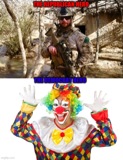 The seal is a real hero and brave one | THE REPUBLICAN HERO; THE DEMOCRAT HERO | image tagged in navy seals,clowns,conservatives,hero,memes | made w/ Imgflip meme maker