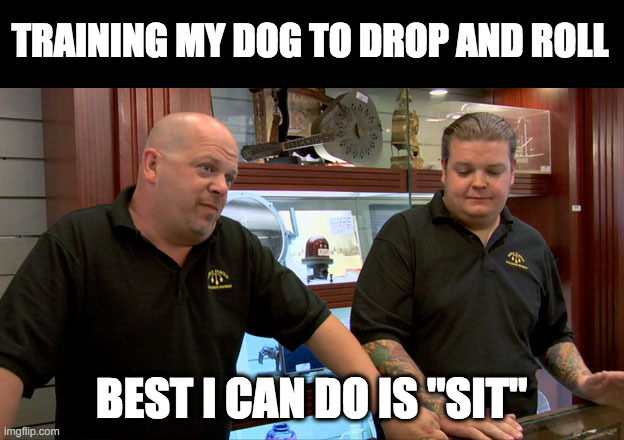 Training dog to sit | TRAINING MY DOG TO DROP AND ROLL; BEST I CAN DO IS "SIT" | image tagged in pawn stars best i can do,dog,dog training,sit | made w/ Imgflip meme maker