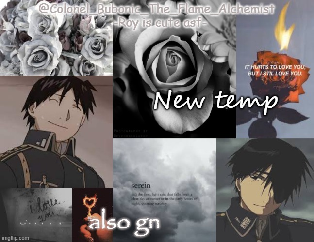 Another temp of Roy being cute asf | New temp; also gn | image tagged in another temp of roy being cute asf | made w/ Imgflip meme maker