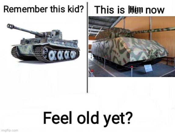 Crappy tank meme | Him | image tagged in feel old yet,memes,ww2,german,tank,oh wow are you actually reading these tags | made w/ Imgflip meme maker