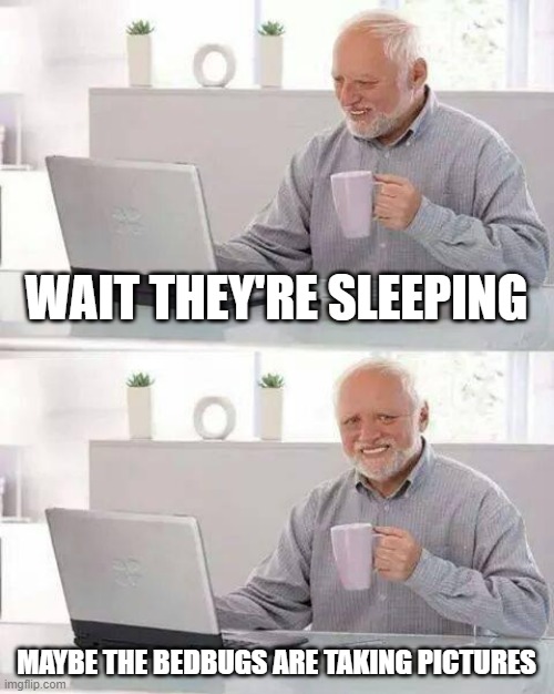 Hide the Pain Harold | WAIT THEY'RE SLEEPING; MAYBE THE BEDBUGS ARE TAKING PICTURES | image tagged in memes,hide the pain harold | made w/ Imgflip meme maker