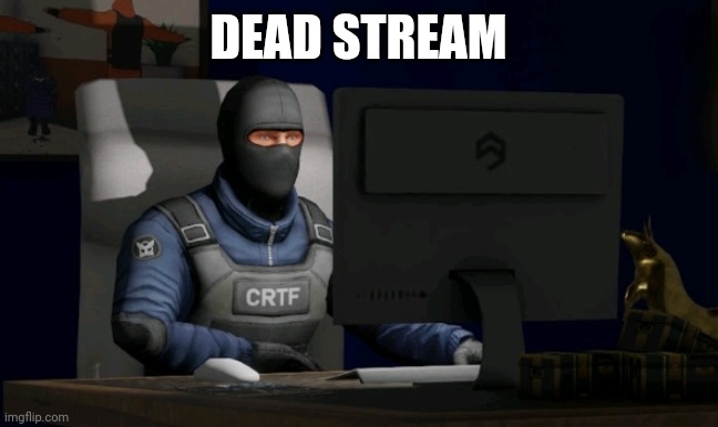counter-terrorist looking at the computer | DEAD STREAM | image tagged in computer | made w/ Imgflip meme maker