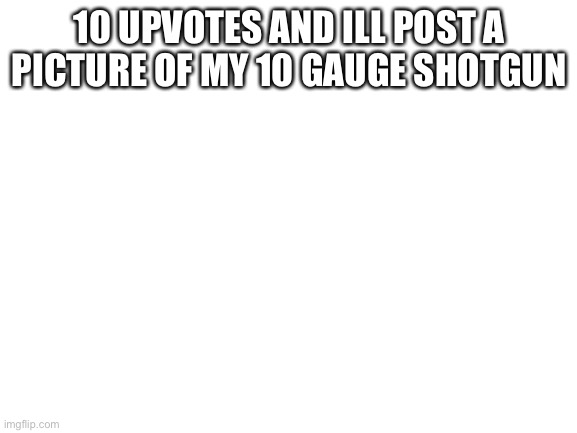 Blank White Template | 10 UPVOTES AND ILL POST A PICTURE OF MY 10 GAUGE SHOTGUN | image tagged in blank white template | made w/ Imgflip meme maker