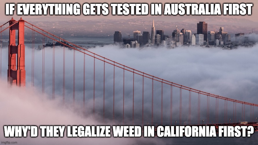 if everything gets tested in australia first, why'd they legalize weed in california first? | IF EVERYTHING GETS TESTED IN AUSTRALIA FIRST; WHY'D THEY LEGALIZE WEED IN CALIFORNIA FIRST? | image tagged in weed,pot,medical marijuana | made w/ Imgflip meme maker