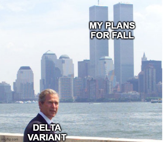 Happy 20th Anniversary | MY PLANS FOR FALL; DELTA VARIANT | image tagged in george bush,world trade center | made w/ Imgflip meme maker
