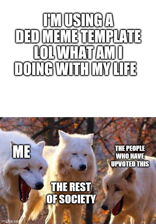 No, I'm not being an upvote beggar, I hate that species of human | I'M USING A DED MEME TEMPLATE LOL WHAT AM I DOING WITH MY LIFE; ME; THE PEOPLE WHO HAVE UPVOTED THIS; THE REST OF SOCIETY | image tagged in blank white template,laughing wolf,dead memes | made w/ Imgflip meme maker