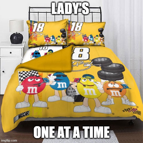 One at a time | LADY'S; ONE AT A TIME | image tagged in bed | made w/ Imgflip meme maker