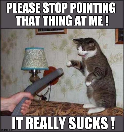 Why Are You Doing This ? | PLEASE STOP POINTING 
THAT THING AT ME ! IT REALLY SUCKS ! | image tagged in cats,vacuum cleaner,you suck | made w/ Imgflip meme maker