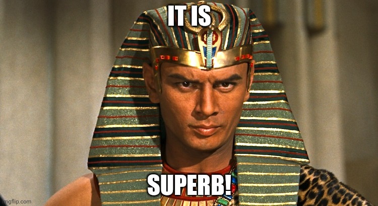 Pharaoh | IT IS SUPERB! | image tagged in pharaoh | made w/ Imgflip meme maker