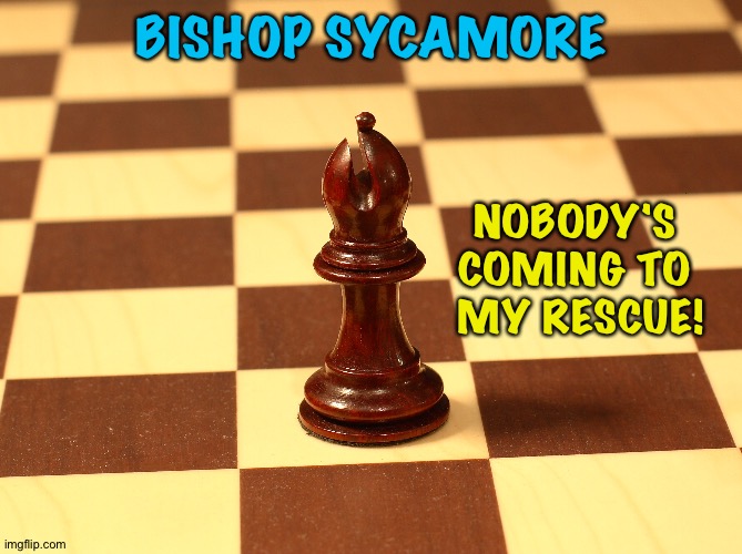 Looks like Bishop Sycamore is toast | BISHOP SYCAMORE; NOBODY'S 
COMING TO 
MY RESCUE! | image tagged in bishop sycamore football | made w/ Imgflip meme maker