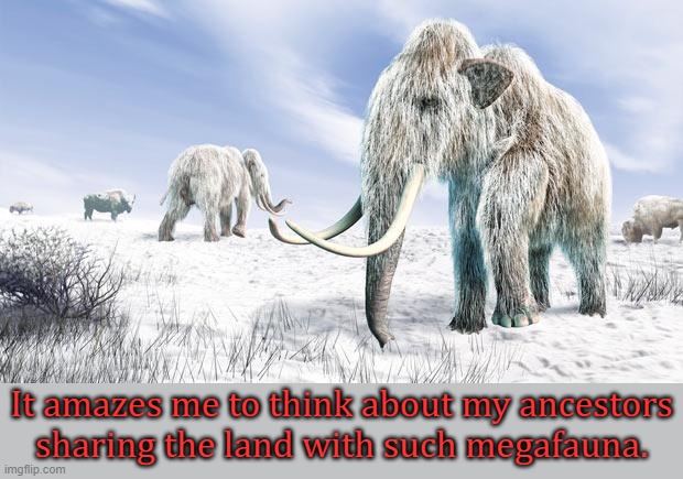 I am an Alaska Native. | It amazes me to think about my ancestors
sharing the land with such megafauna. | image tagged in wooly mammoth,ancient,wildlife,native american | made w/ Imgflip meme maker