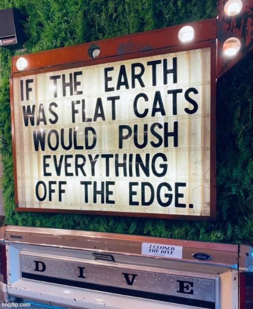 Facts. | image tagged in cats,memes,funny,lmao,flat earth | made w/ Imgflip meme maker